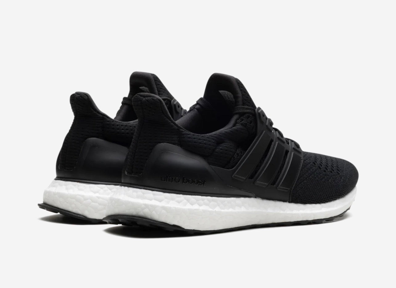 Adidas Ultra Boost 1.0 DNA