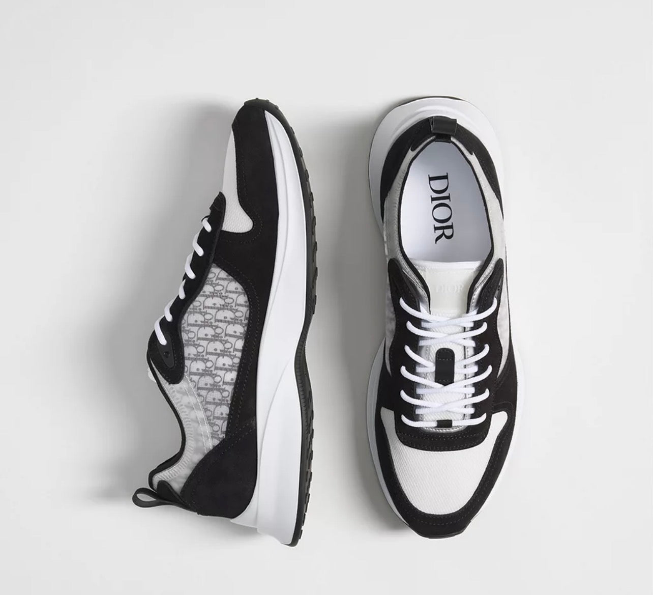 Dior b25